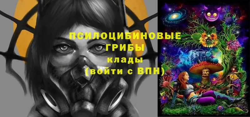 нарко площадка формула  Тара  Галлюциногенные грибы Magic Shrooms 